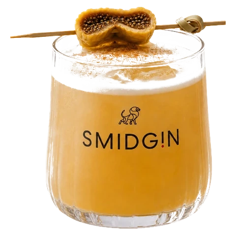 Fig Sour cocktail made with Smidgin, garnished with fresh Mediterranean fig