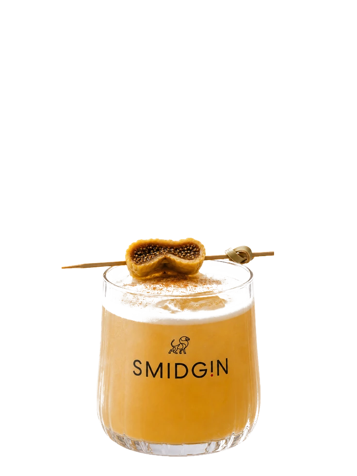 Fig Sour, an amber cocktail with a thick foam head in a rocks glass, garnished with a slice of dried fig